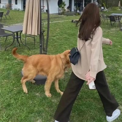 罗密